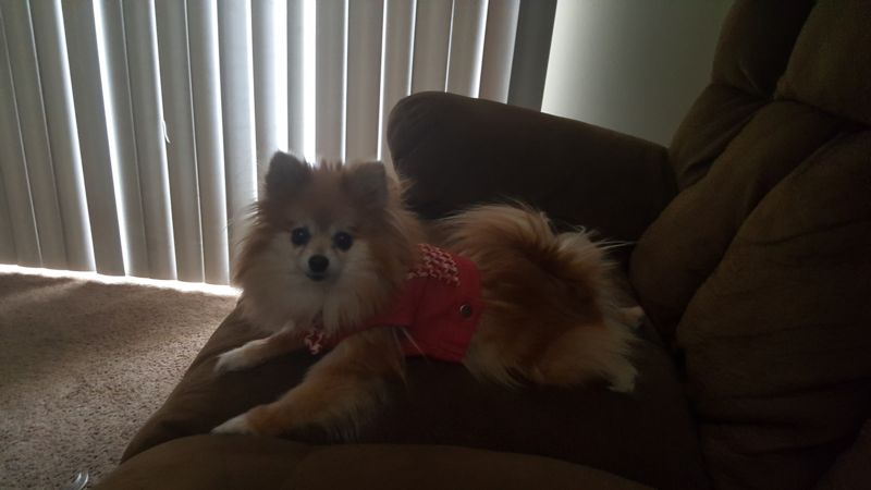 DeeDee the Diva